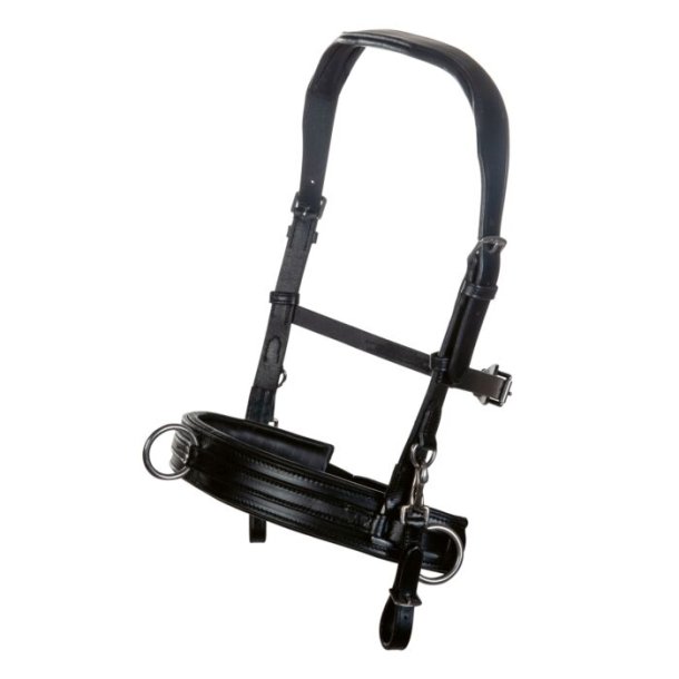 L�der kapsun/trense/sidepull