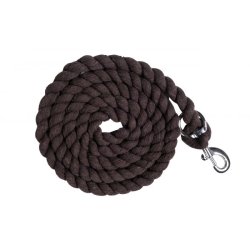 Trktov med karabinhage